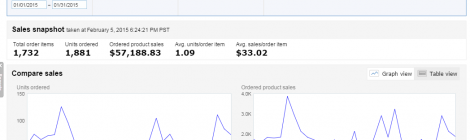 January 2015 Financial Results from Selling on Amazon & eBay